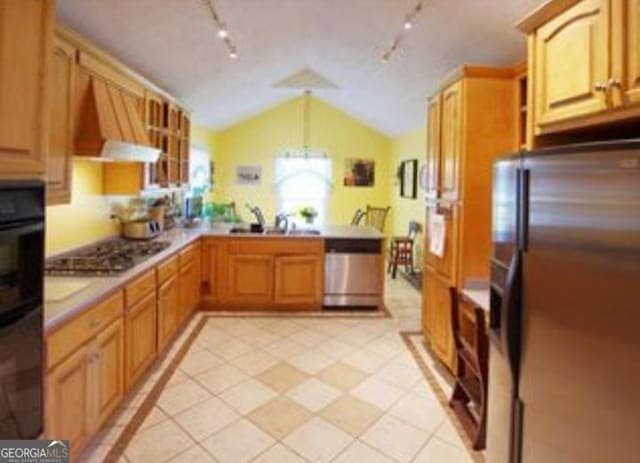 kitchen featuring extractor fan, appliances with stainless steel finishes, pendant lighting, rail lighting, and lofted ceiling