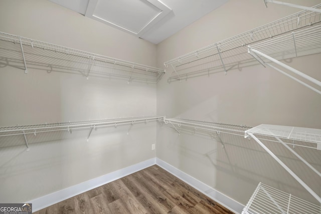 spacious closet with wood-type flooring