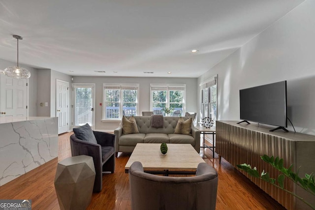 living room featuring hardwood / wood-style flooring