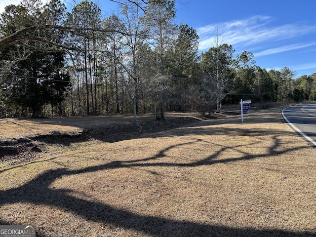 1974 Old Shiloh Rd, Shiloh GA, 31826 land for sale