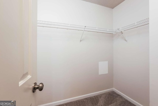 walk in closet featuring carpet floors