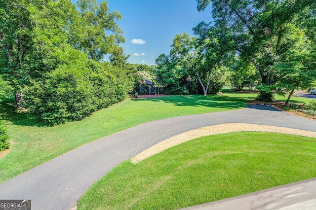 view of community with a lawn