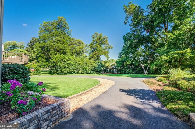 view of home's community featuring a yard