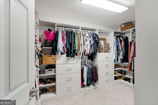 spacious closet with light colored carpet