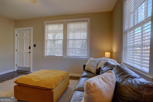 living room with hardwood / wood-style floors and a wealth of natural light