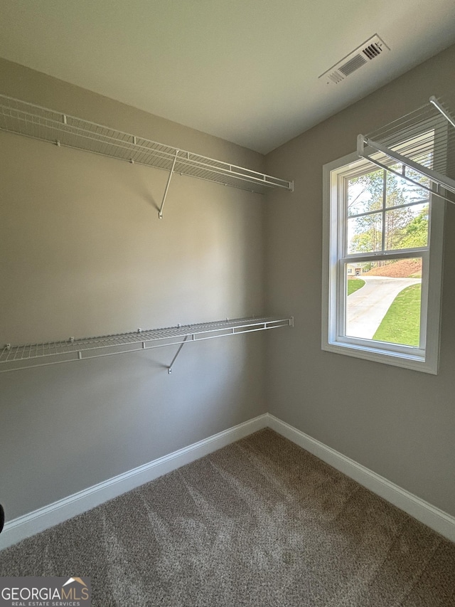 29 Iron Bound Trl, Dallas, GA 30132 - spacious closet featuring carpet