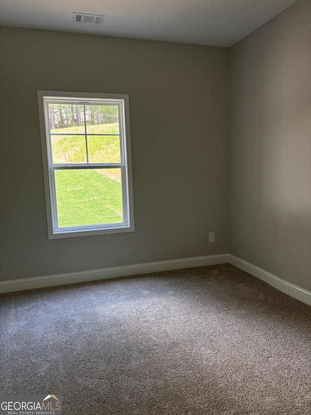 29 Iron Bound Trl, Dallas, GA 30132 - carpeted empty room featuring healthy amount of natural light