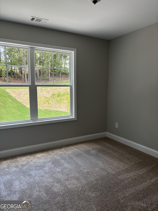 29 Iron Bound Trl, Dallas, GA 30132 - unfurnished room featuring carpet flooring and baseboards