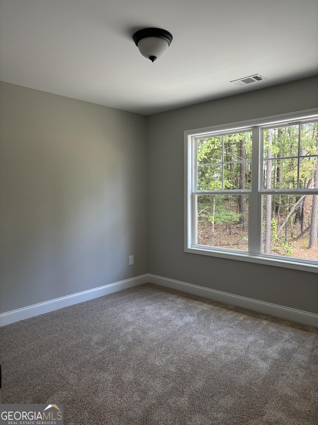 29 Iron Bound Trl, Dallas, GA 30132 - empty room with baseboards and carpet