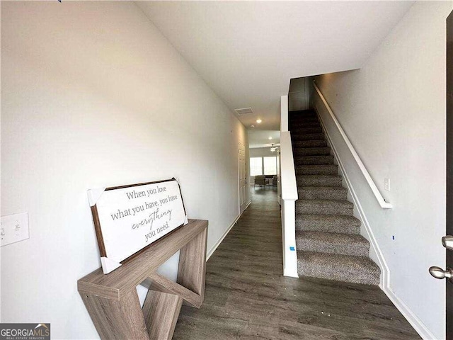 stairway with hardwood / wood-style flooring