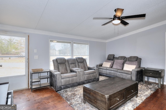 living room featuring ornamental molding, ceiling fan, and dark hardwood / wood-style flooring