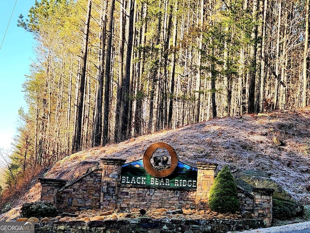 0 Black Bear Ridge Rd, Ellijay GA, 30536 land for sale