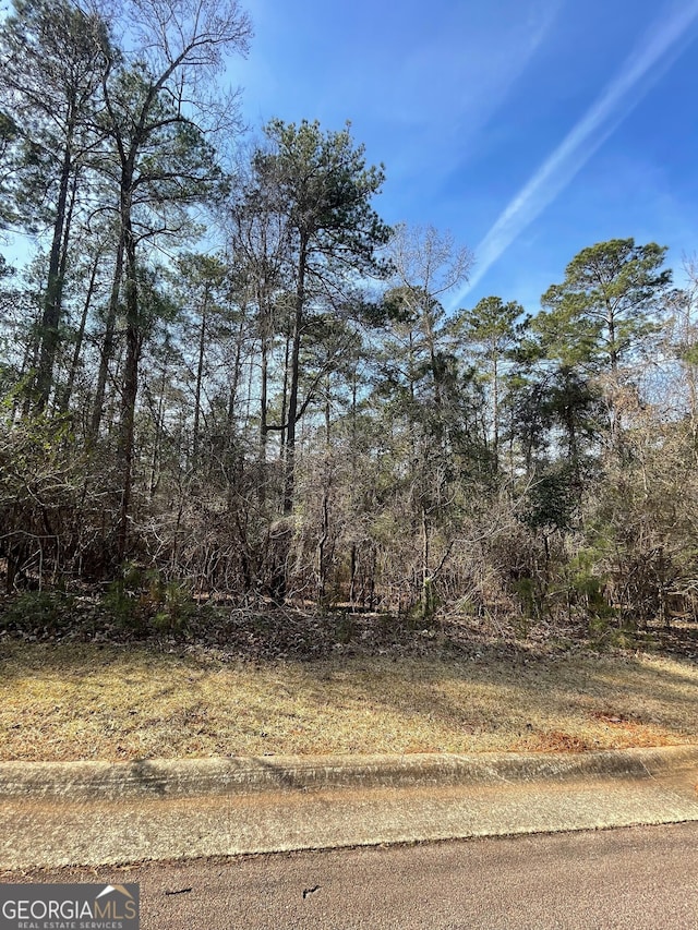 201 Lakeview Ct, Lagrange GA, 30240 land for sale