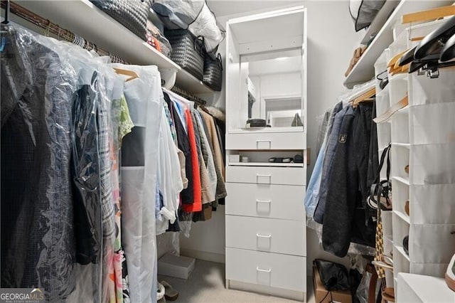 view of spacious closet