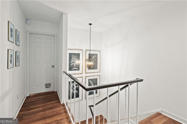 staircase with wood-type flooring and an inviting chandelier