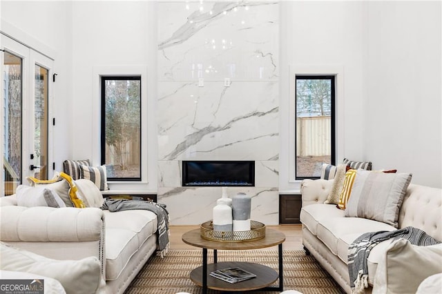 living room with french doors and wood-type flooring