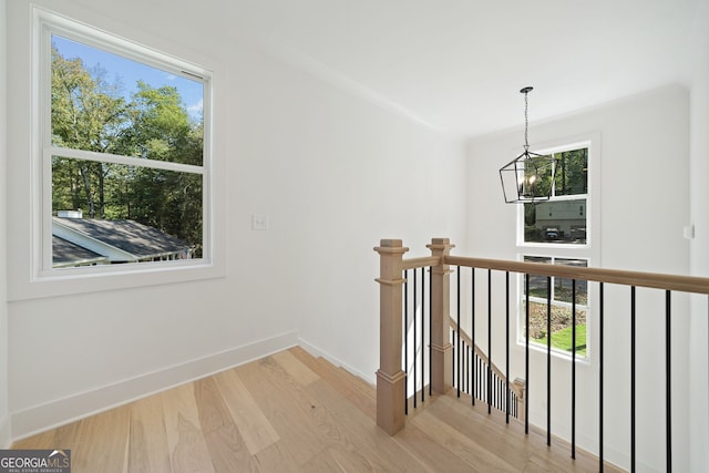 hallway featuring a wealth of natural light, a chandelier, and light wood-type flooring