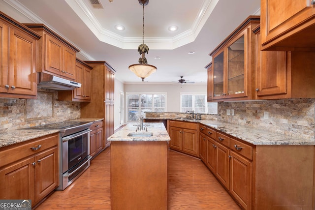 kitchen featuring sink, hanging light fixtures, a kitchen island, a tray ceiling, and stainless steel electric range oven