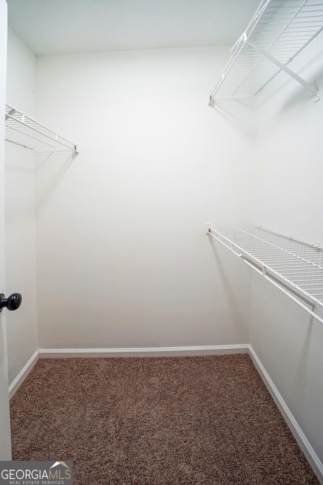 spacious closet featuring carpet floors