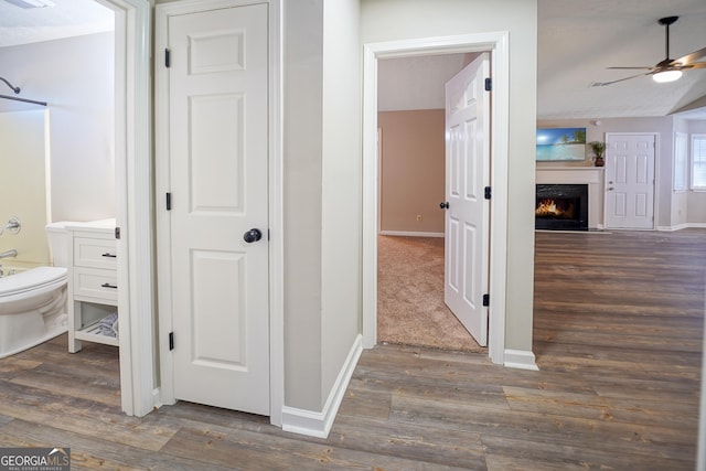 hallway with dark hardwood / wood-style floors