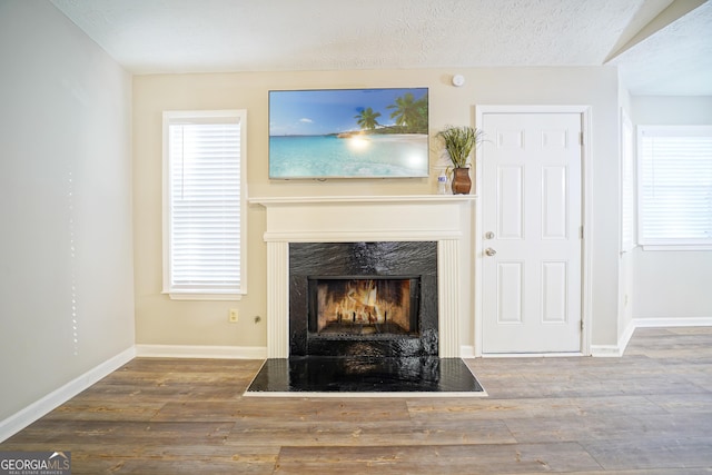 details with a premium fireplace, wood-type flooring, and a textured ceiling