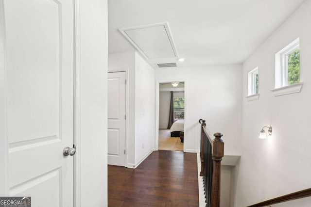 corridor featuring dark wood-type flooring and a wealth of natural light