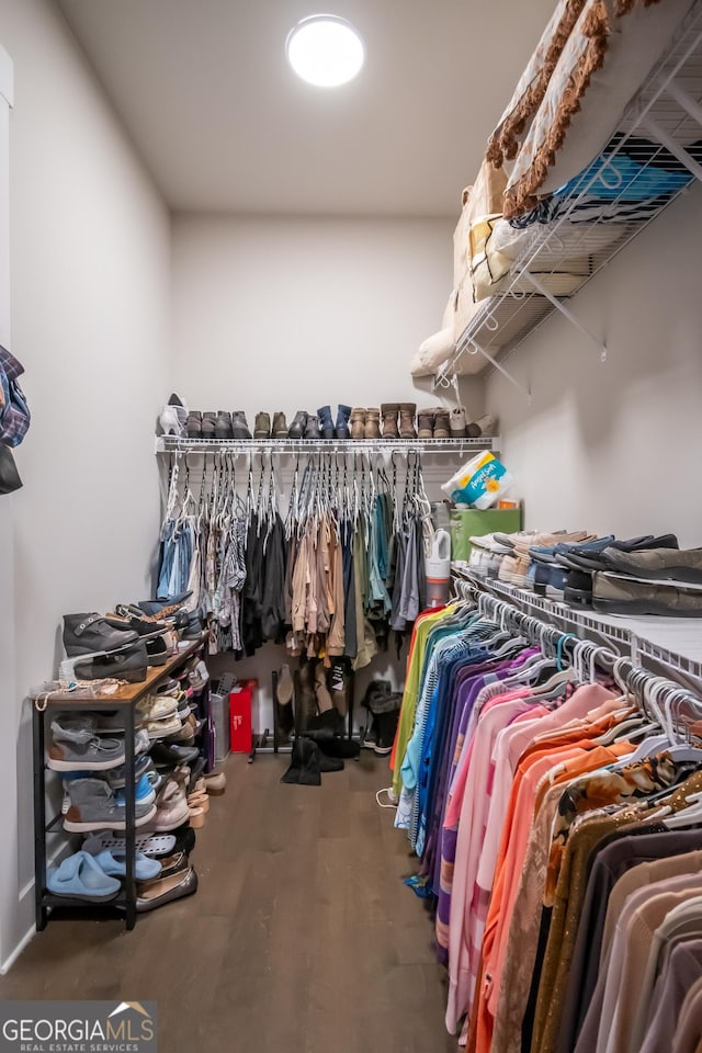 spacious closet featuring wood-type flooring