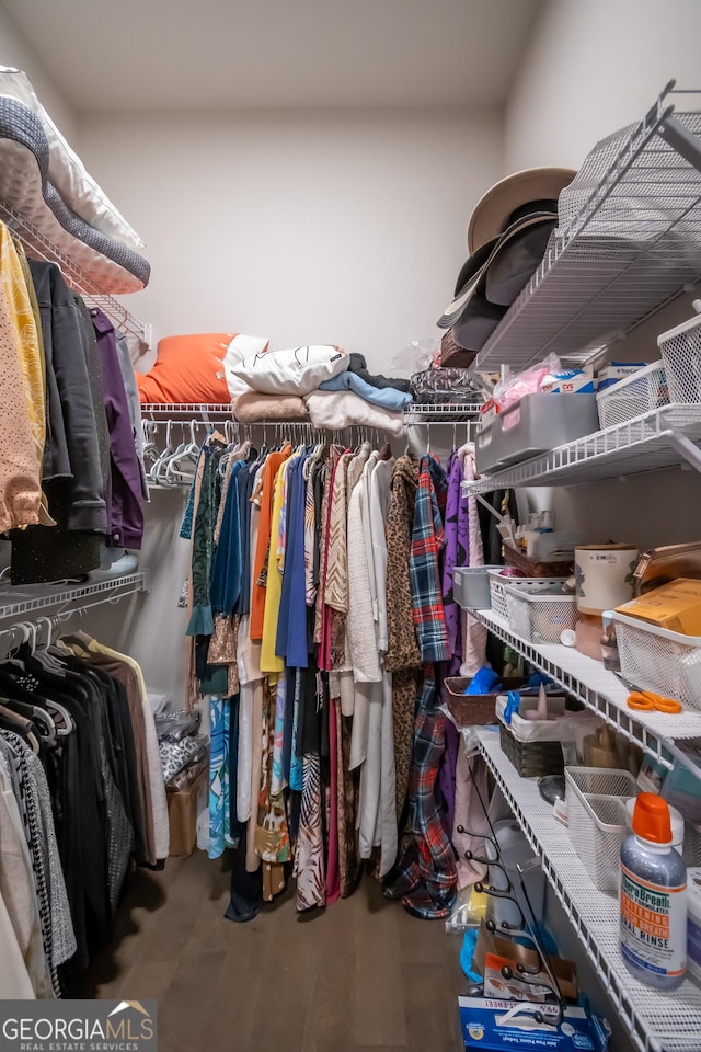 walk in closet with hardwood / wood-style flooring