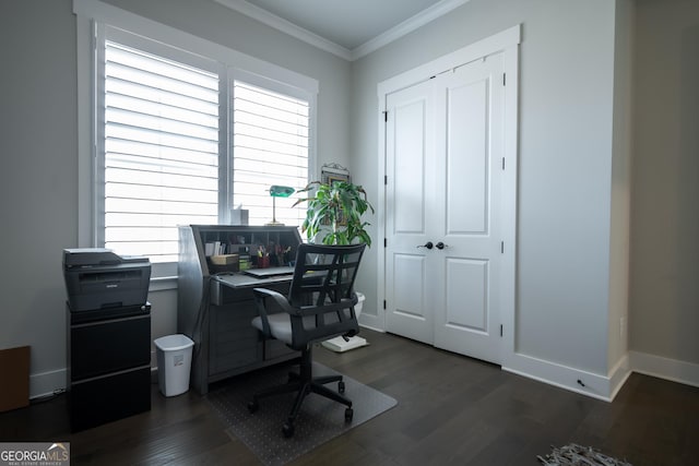 office space featuring crown molding and dark hardwood / wood-style floors