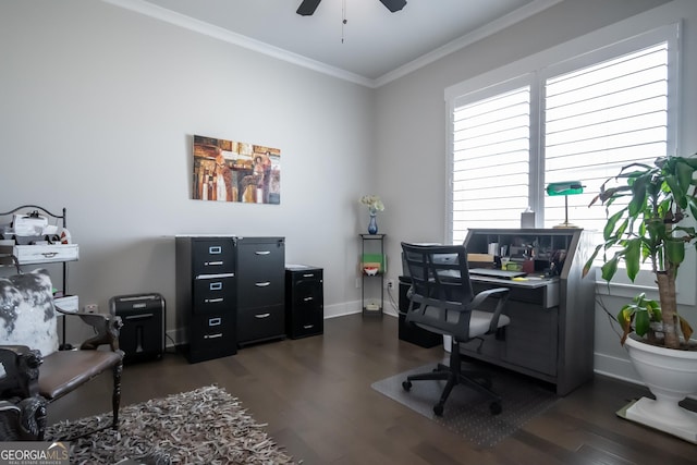 office with crown molding, ceiling fan, and dark wood-type flooring