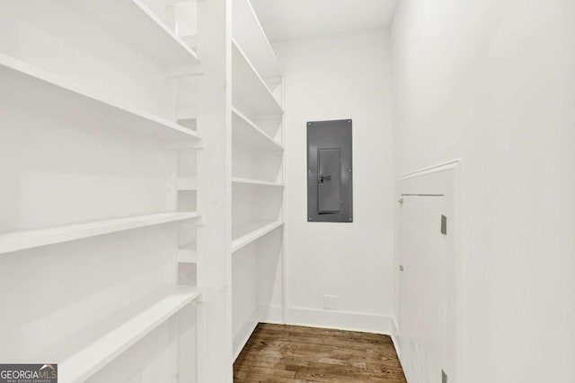 spacious closet with hardwood / wood-style floors and electric panel