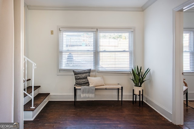 living area featuring crown molding and dark wood-type flooring