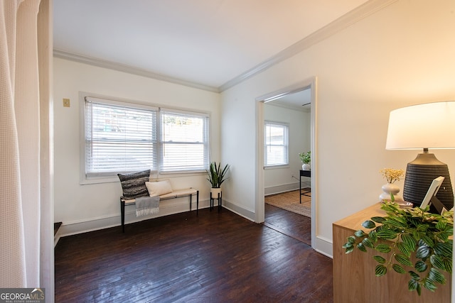 sitting room featuring ornamental molding and dark hardwood / wood-style floors