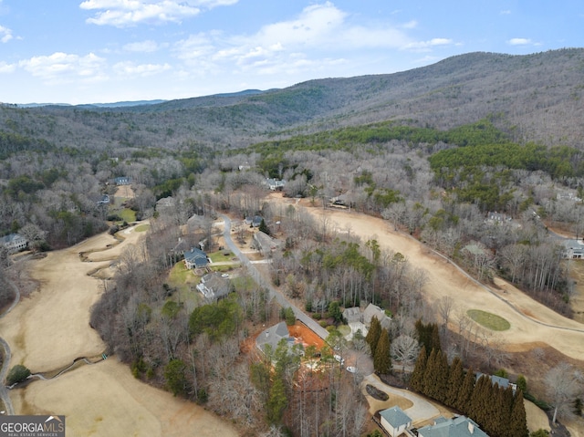 drone / aerial view with a mountain view