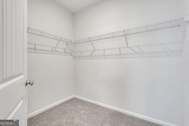 spacious closet with carpet floors