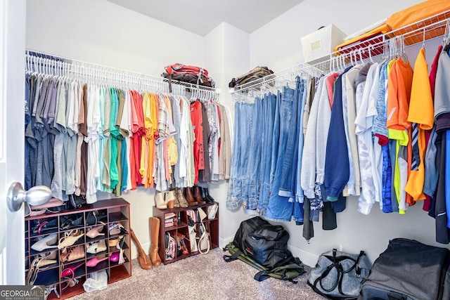 spacious closet with carpet