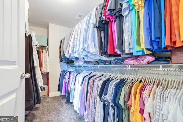 spacious closet with carpet