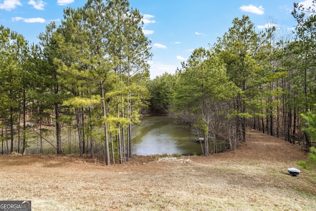 property view of water