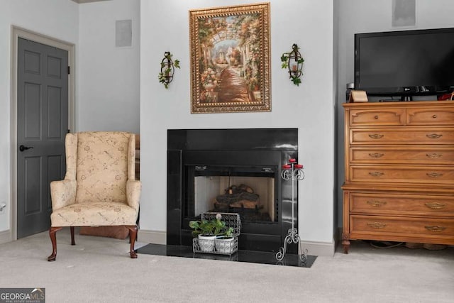 sitting room with carpet floors