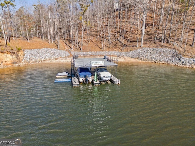 dock area with a water view