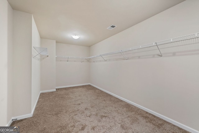 spacious closet featuring carpet