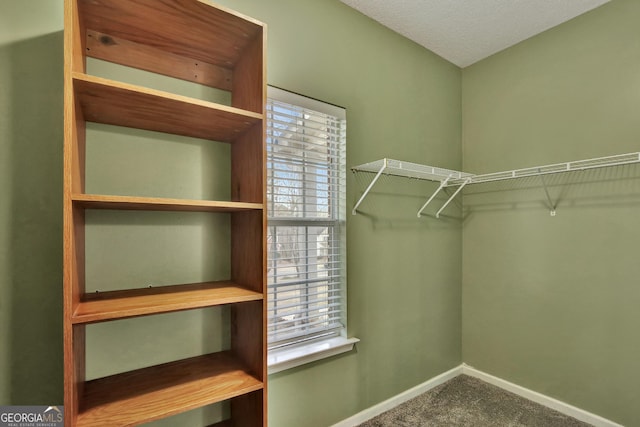 walk in closet with carpet