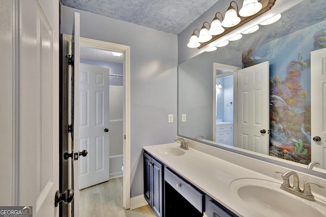 bathroom with vanity and wood-type flooring