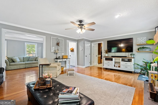 living room with crown molding, a textured ceiling, ceiling fan, and light hardwood / wood-style flooring