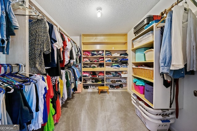 walk in closet with carpet flooring