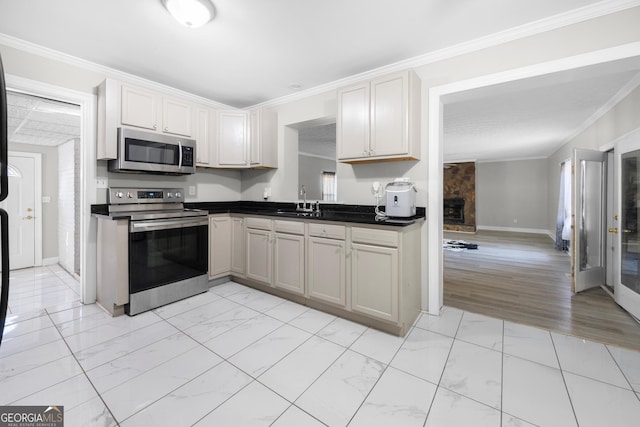 kitchen featuring sink, a fireplace, ornamental molding, and appliances with stainless steel finishes