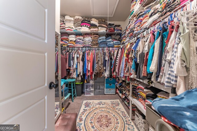 4738 Cypress Park Dr SW, Gainesville, GA 30504 - walk in closet featuring attic access and carpet floors