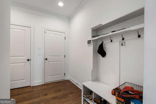 mudroom featuring ornamental molding and dark wood-type flooring