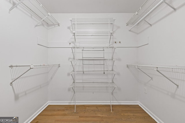 spacious closet featuring hardwood / wood-style flooring