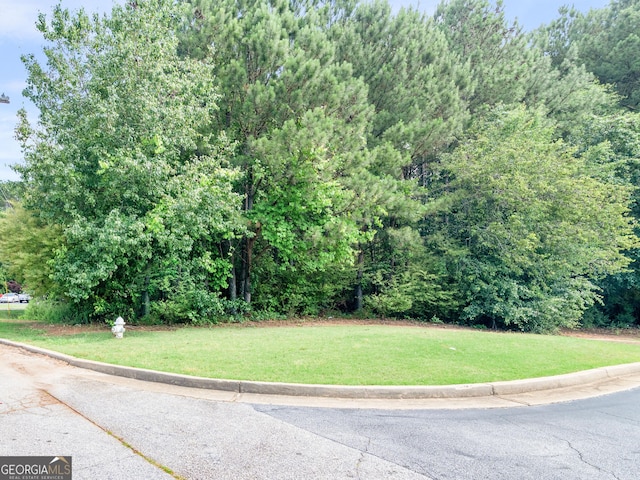 0 SE Honey Creek Pkwy, Conyers GA, 30013 land for sale